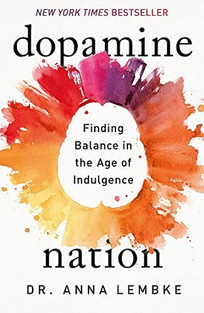 Cover of Dopamine Nation